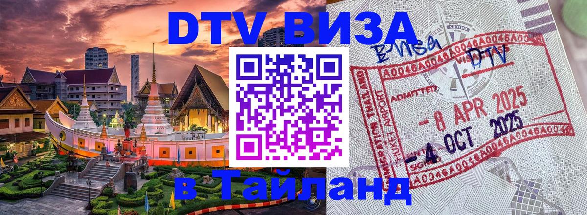 Оформление DTV визы под ключ: стоимость и тарифы, только загранпаспорт - 18.11.2025 